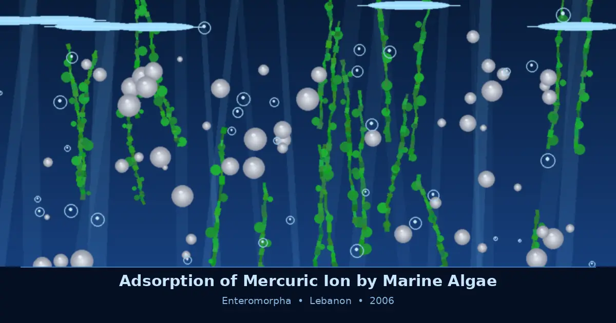 Adsorption of Mercuric Ion by Marine Algae Enteromorpha